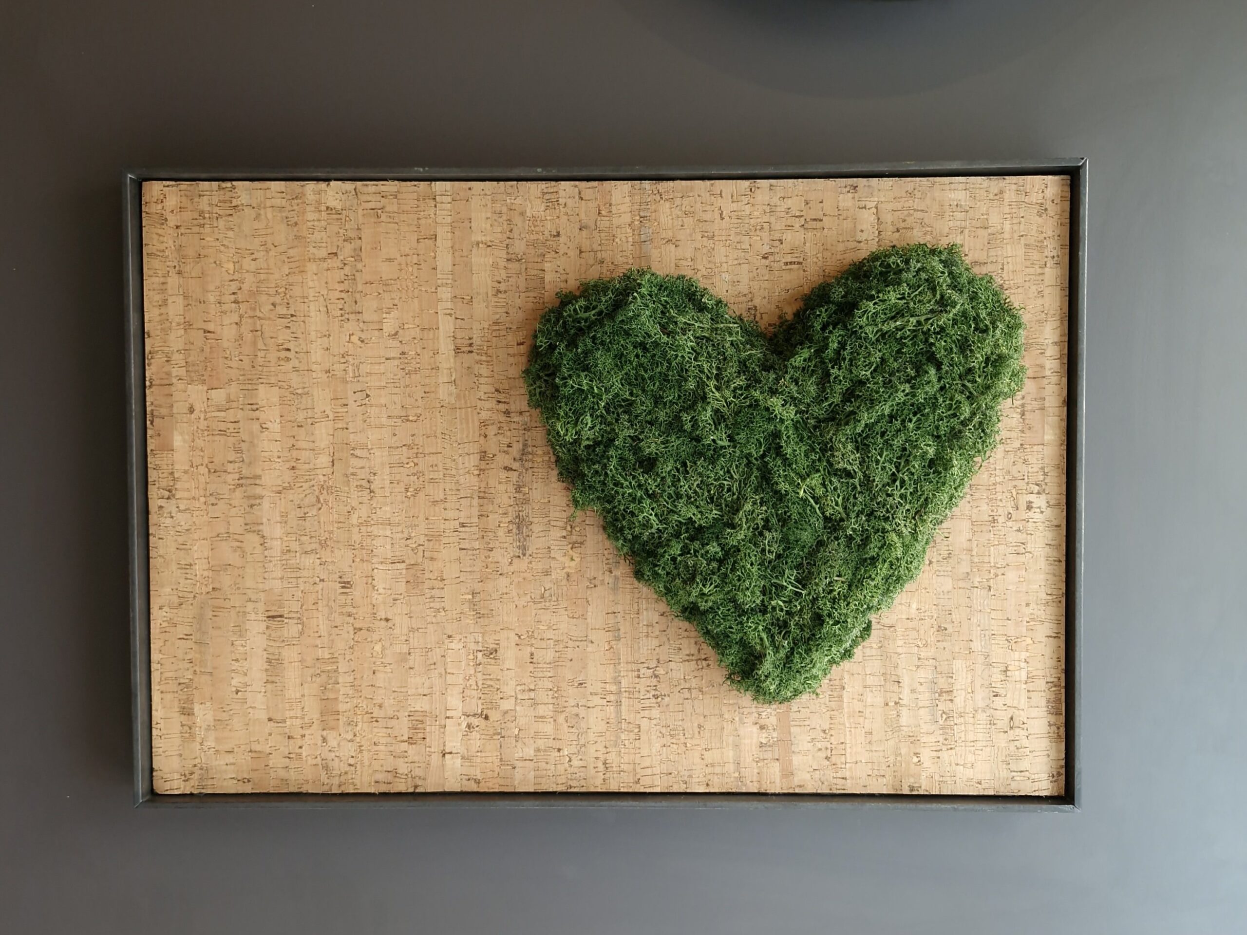 Moos Heart – Steel Edition