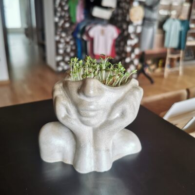 betonblumentopf handgefertigt 8-5x10-5cm beton pflanztopf mit kresse handgemachter beton topf moderne beton deko pflanzgefäß