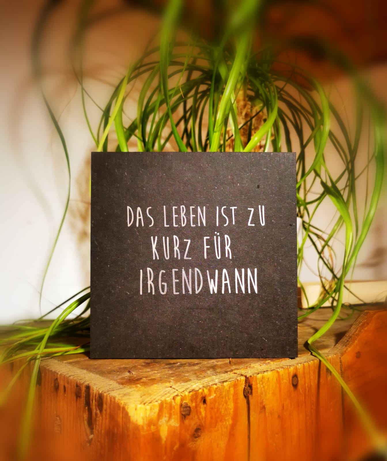 Täfele „fiberboard“