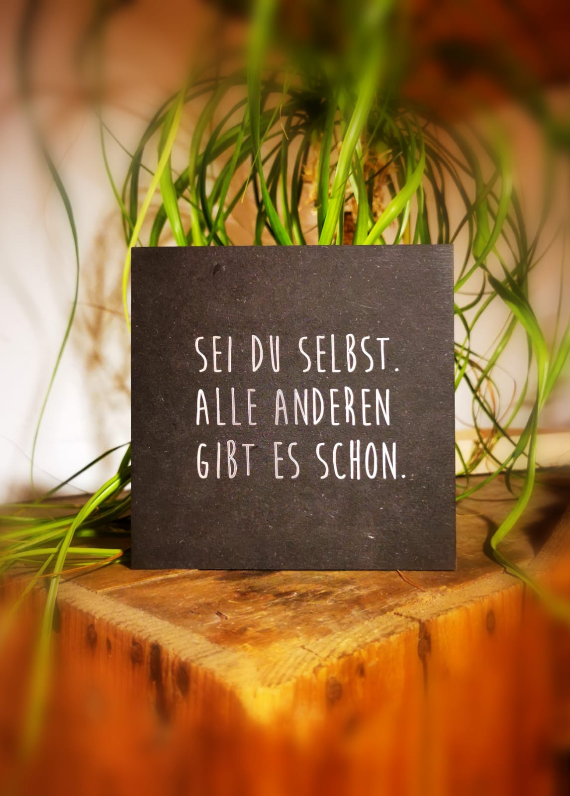 Täfele „fiberboard“